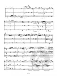 Trio op. 97 von Victor Bruns 