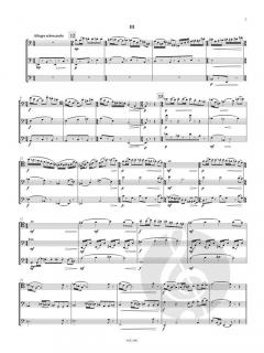 Trio op. 97 von Victor Bruns 