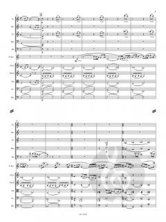 Konzert für Sopransaxophon und Streicher  von Allan Stephenson 