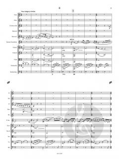 Konzert für Sopransaxophon und Streicher  von Allan Stephenson 