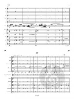 Konzert für Sopransaxophon und Streicher  von Allan Stephenson 
