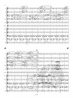 Konzert für Sopransaxophon und Streicher  von Allan Stephenson 