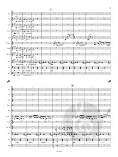 Konzert für Sopransaxophon und Streicher  von Allan Stephenson 