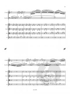 Konzert für Flöte, Fagott und Orchester (Partitur) 