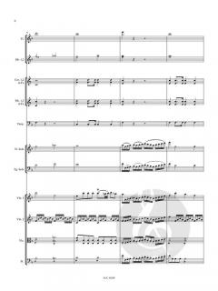 Konzert für Flöte, Fagott und Orchester (Partitur) 