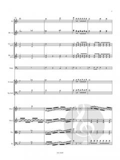 Konzert für Flöte, Fagott und Orchester (Partitur) 