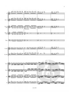 Konzert für Flöte, Fagott und Orchester (Partitur) 