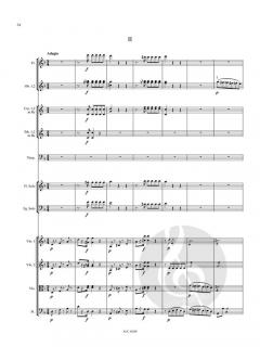 Konzert für Flöte, Fagott und Orchester (Partitur) 