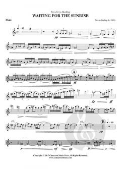 Waiting for the sunrise von Darling, Steven 