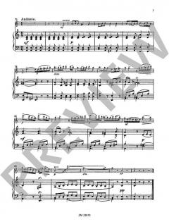 Stimmungsbilder op. 471 von Wilhelm Popp für Flöte und Klavier im Alle Noten Shop kaufen