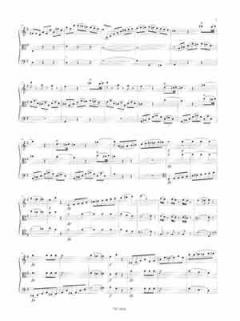 Streichtrio G-Dur (Fragment) KV 562e von Wolfgang Amadeus Mozart im Alle Noten Shop kaufen
