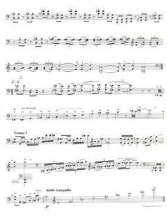 Corrente de Xango von Pau Costa Lima 