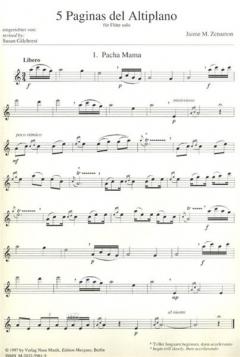 5 Paginas del Altiplano von Jaime M. Zenamon 