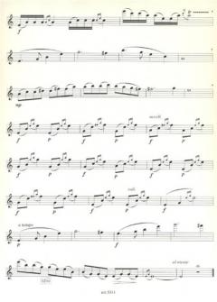 5 Paginas del Altiplano von Jaime M. Zenamon 