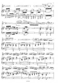 L' Appassionato op. 5 von Leonardo de Lorenzo 