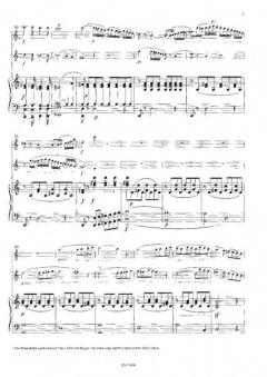 Concertino op. 101 (Kaspar Kummer) 