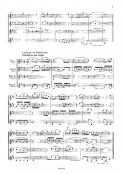 S'kommt ein Vogerl geflogen von Siegfried Ochs 