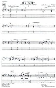 Irrlicht von Stefan Soewandi 