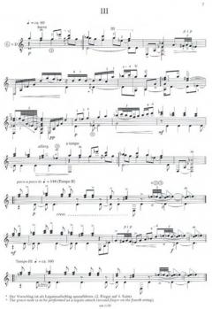 Memed von Rainer Brunn 