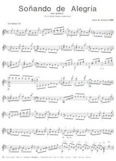 Soñando de Alegría von Jaime M. Zenamon 