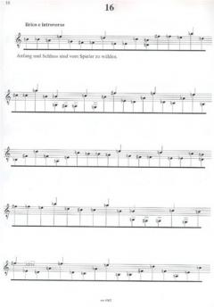 Immaginazioni von Carlo Domeniconi 