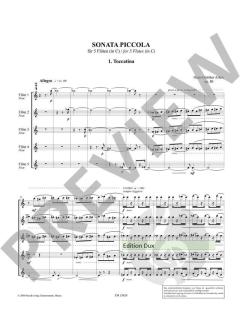 Sonata piccola op. 80 von Hans-Günther Allers 