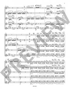 Sonata piccola op. 80 von Hans-Günther Allers 