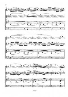 Konzert-Paraphrase op. 18 von Franz Doppler 