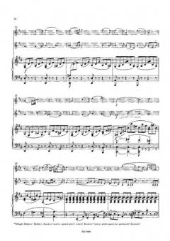 Die Bearbeitungen mit Altflöten von Theobald Böhm im Alle Noten Shop kaufen