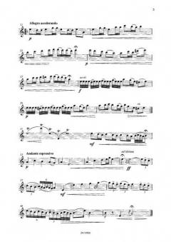 Grastänzer / Augenblicke von Friedrich Leufgen 