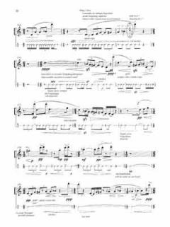 ZOOM für Flöte mit Gitarre im Alle Noten Shop kaufen