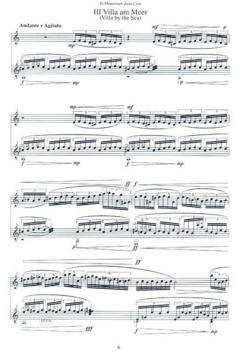 Sechs Sonatinen nach Bildern von A. Böcklin (Stefan Soewandi) 