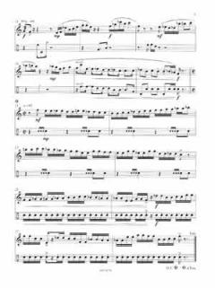 Spiegelungen à 2 (Siegfried Fink) 