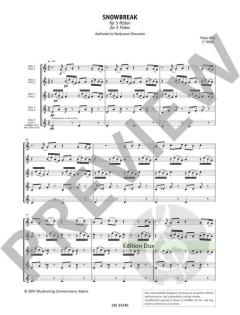 Snowbreak von Peter Kuett 