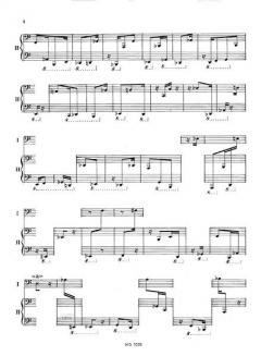 The Birth of a Language von Anatol Vieru 