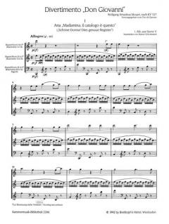 Divertimento 'Don Giovanni' von Wolfgang Amadeus Mozart 