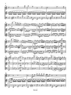 Divertimento 'Don Giovanni' von Wolfgang Amadeus Mozart 