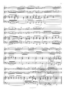 Triosonate in B-Dur (J.S. Bach) 