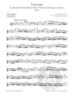 Triosonate in B-Dur (J.S. Bach) 
