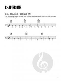 Rainer's Acoustic Blues Guitar Picking School von Rainer Brunn 