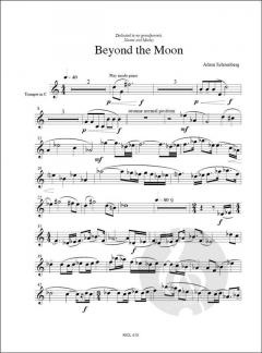 Separated by Space von Adam Schoenberg 