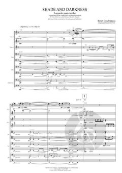 Shade and Darkness von Benet Casablancas 