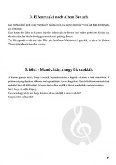 Die trickreichen Elfen von Xénia Stollár 