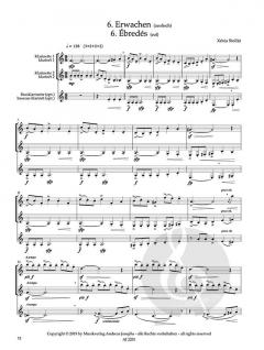 Der Wunderbaum von Xénia Stollár 