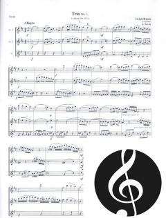 Trio no.1 Hob.IV:1 