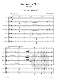 Sinfonietta No. 1 'Quadri Triestini' von Matteo Firmi 