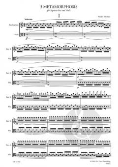 3 Metamorphosis von Basilio Merlino 