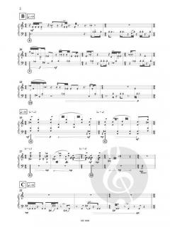 A Faraday Cage von Daniel D'Adamo 