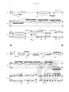 Furia Porteña von Daniel D'Adamo 