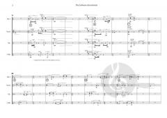 The Lehmann Discontinuity von Daniel D'Adamo 